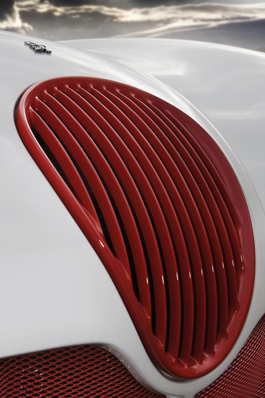 Детали экстерьера Wiesmann Roadster MF5 Limited Edition 2009 года  (фото 9 из 17)